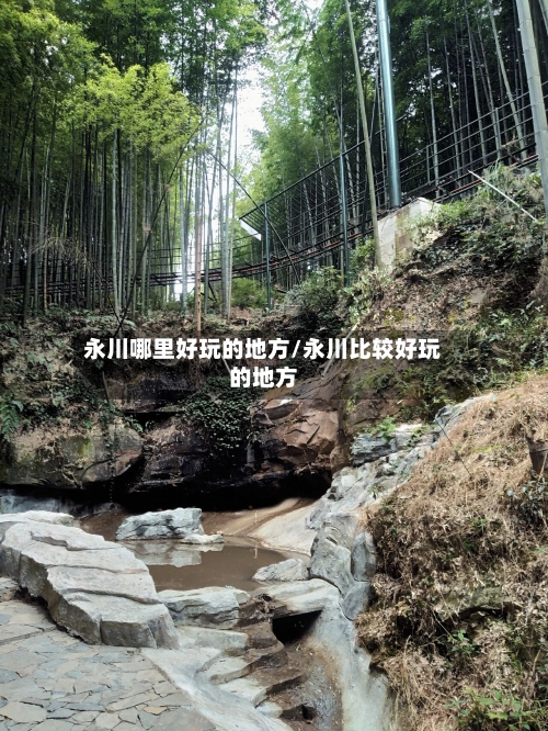 永川哪里好玩的地方/永川比较好玩的地方-第2张图片