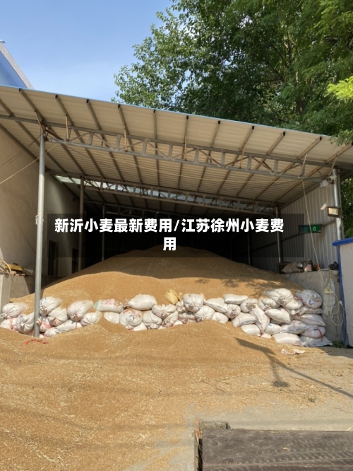 新沂小麦最新费用/江苏徐州小麦费用-第2张图片