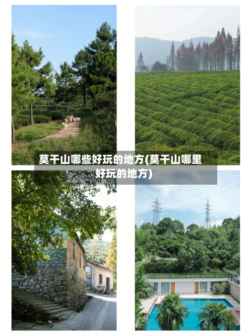 莫干山哪些好玩的地方(莫干山哪里好玩的地方)-第2张图片