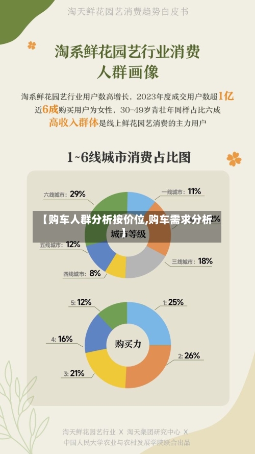 【购车人群分析按价位,购车需求分析】-第2张图片
