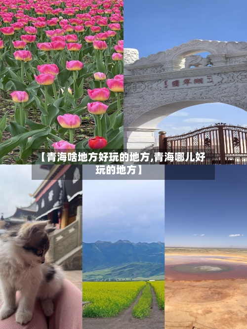 【青海啥地方好玩的地方,青海哪儿好玩的地方】-第2张图片
