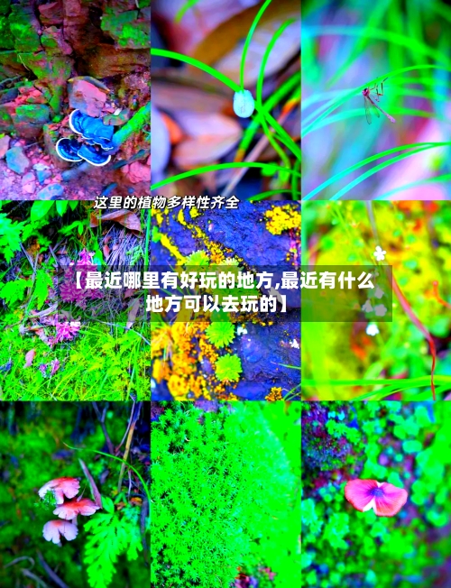 【最近哪里有好玩的地方,最近有什么地方可以去玩的】-第3张图片