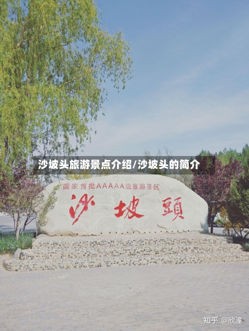 沙坡头旅游景点介绍/沙坡头的简介-第2张图片