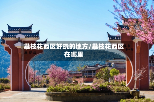 攀枝花西区好玩的地方/攀枝花西区在哪里-第3张图片