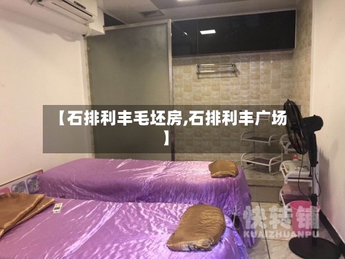【石排利丰毛坯房,石排利丰广场】-第3张图片