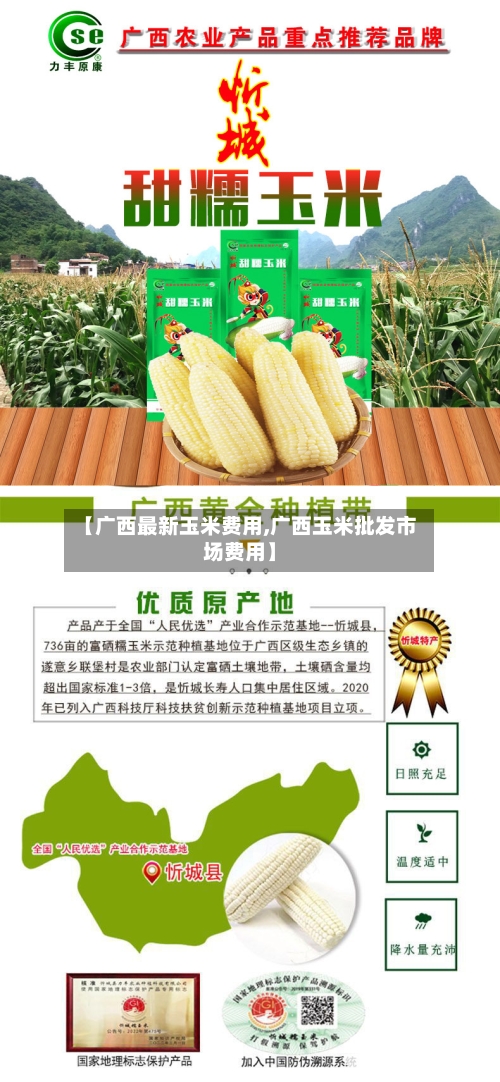 【广西最新玉米费用,广西玉米批发市场费用】-第3张图片