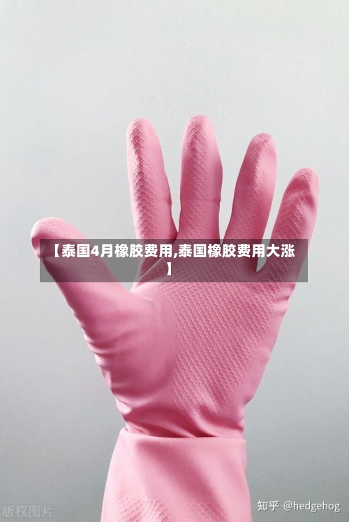 【泰国4月橡胶费用,泰国橡胶费用大涨】