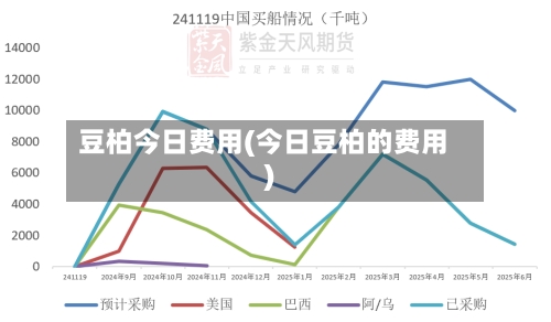 豆柏今日费用(今日豆柏的费用)