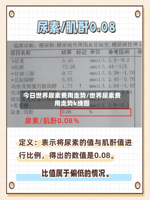 今日世界尿素费用走势/世界尿素费用走势k线图-第2张图片