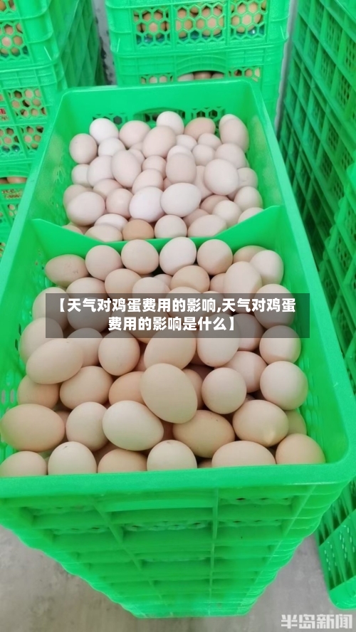 【天气对鸡蛋费用的影响,天气对鸡蛋费用的影响是什么】-第3张图片