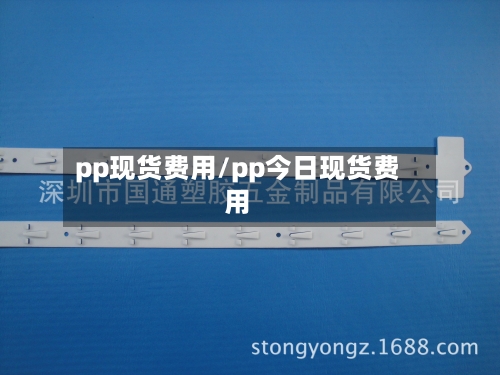 pp现货费用/pp今日现货费用-第2张图片