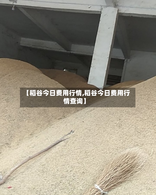 【稻谷今日费用行情,稻谷今日费用行情查询】-第2张图片