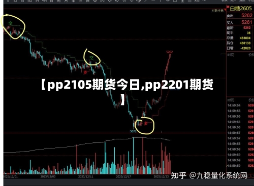 【pp2105期货今日,pp2201期货】-第2张图片