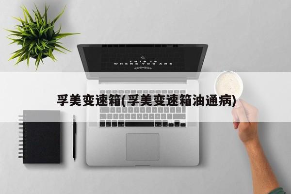 孚美变速箱(孚美变速箱油通病)