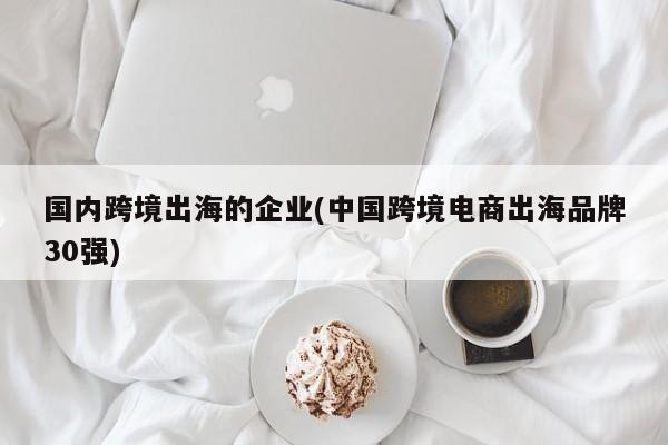 国内跨境出海的企业(中国跨境电商出海品牌30强)