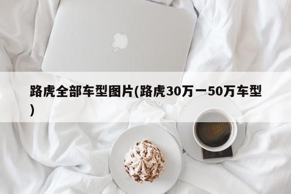 路虎全部车型图片(路虎30万一50万车型)