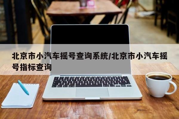 北京市小汽车摇号查询系统/北京市小汽车摇号指标查询
